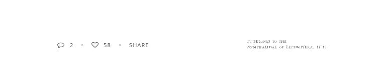 Moda europeia e americana simples aço inoxidável cor dourada corrente de clavícula para moda feminina colares curtos joias